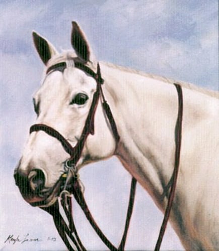 Custom Horse Painting - Cayman